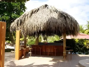 La Dolce Vita - Image 5