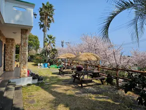 Seogwipo Arirang Pension - Image 2