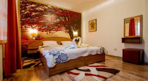 Pension Casa Timar - Image 2