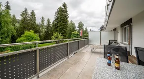 Chasa Plavna - Image 5