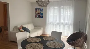 Modern Luxury Apartment Near Airport & Zurich City - Image 3