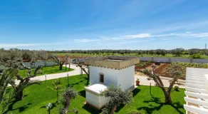 B&B I Tarocchi - Image 5