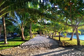 Ravintsara Wellness Hotel - Image 5