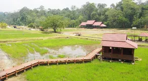 Laman Green Hotel @ Seksyen 7 Shah Alam near UiTM, i-City, Hospital - Image 5
