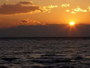 Shoukousha - Image 4