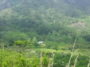 Sir John's Bungalow - Image 2