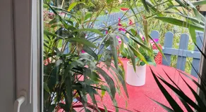 Ibiza Casa - Image 4