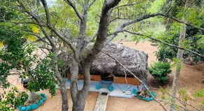 Eco Tree House Yala - Image 4