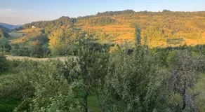 Vikendica Savić - Image 5