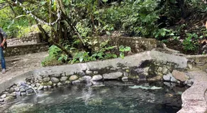 Bunihayu Forest - Image 3