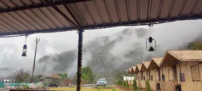 The Jungle Mist Resort - Image 4