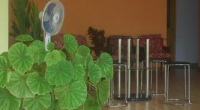 Peace Home - Image 5