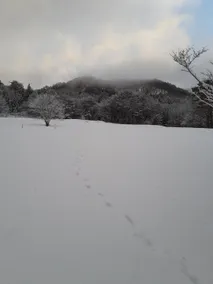 It is a Farmhouse Inn Located in a Satoyama Surrou - Image 4
