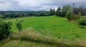 WhyDeer - Image 5