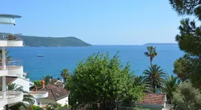 Petrovic house - Image 4
