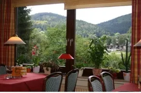 Pension Waldesruh - Image 5