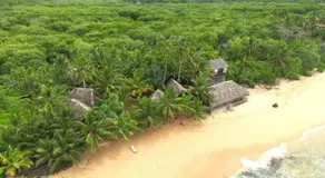 The Alpha Monkey hotel & Tree house - Image 5