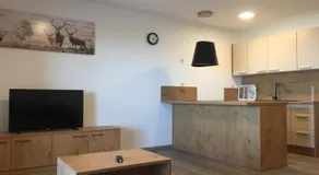 Apartmaji Hočka Koča - Image 2