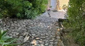 Maison de charme à Ajaccio avec terrasse et jardin - Image 3