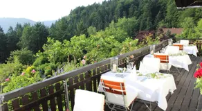 The Moosbach Garden - Image 3