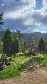 Nature kings Timber leaf Homestay - Image 3