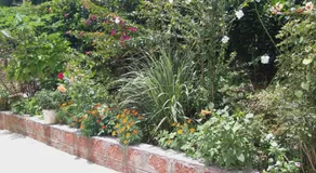 Dreamwood FarmStay - Image 4