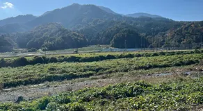 鹿野寒舍館 - Image 5