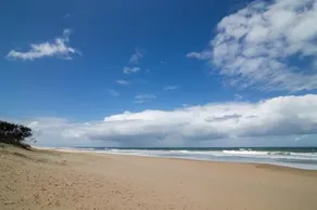 Oceanic Dr 133 - WHALE WATCHERS DELIGHT - Image 1