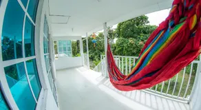 Posada Mango Tree - Image 3