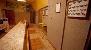 Schronisko młodzieżowe w Jabłonkach - Image 4