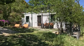 Temenia House - Image 2