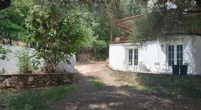 Berbi Rosse - Image 4