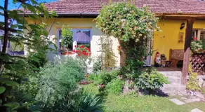 Casa Otilia - Image 4