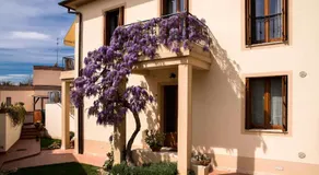 Casa Il Glicine a due passi dal centro - Image 3