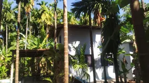 Homestay - Image 5