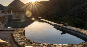 White Lion Lodge on Sanbona - Image 4