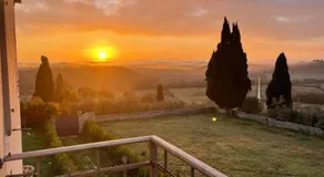 Villa Poggio in Chianti - Winery - Siena - Image 4