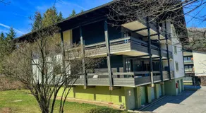 Maibrunn Ski&Spa Apartment Pauli - Image 5