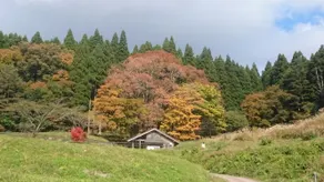 Royal Hajime - Image 2