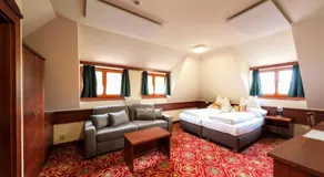 Hotel Fortna - Image 2