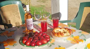 Pensiunea Valea Cernei - Image 5
