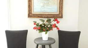 Una finestra sulla Reggia - Image 5