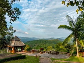 Chai Lai Orchid - Image 5