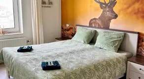 B&B Tina - Image 2