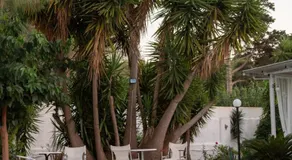 Villa Preveza Apartments - Image 4