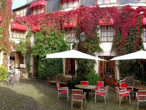 Logis Hotel de France et des Fuchsias - Image 3