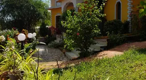 Cozywoods Hill Resort - Image 3