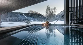Luxury Chalet Tre Cime mit Privat Spa & Pool - Image 2