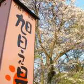 Hachimantai Minami Onsen Asahi no Yu - Image 3