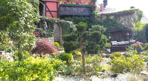 Urlaub im Fachwerkhaus - Image 3